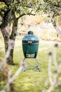 Barbecue Barbecue medium e carrello big green egg ad un prezzo veramente incredibile^Collezione esclusiva Clearance