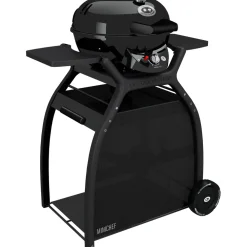 Collezione esclusiva Barbecue Minichef 420 g outdoorchef ad un prezzo veramente incredibile- Barbecue