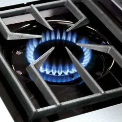 New Barbecue modello Regal 490 a marchio in offerta Barbecue