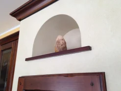 Cucina Gloria di scontata -50%^Arrex Online