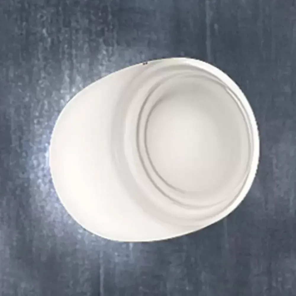 Da soffitto plafoniera con SCONTO IMPERDIBILE Plafoniere Da Soffitto