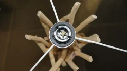 Da terra stile Etnico Lampada a piantana drift wood in saldo^Ideal Lux Clearance