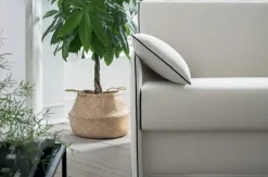 Felis Divano in Tessuto stile moderno modello Truman scontato - 60%- Divani Letto|Divani