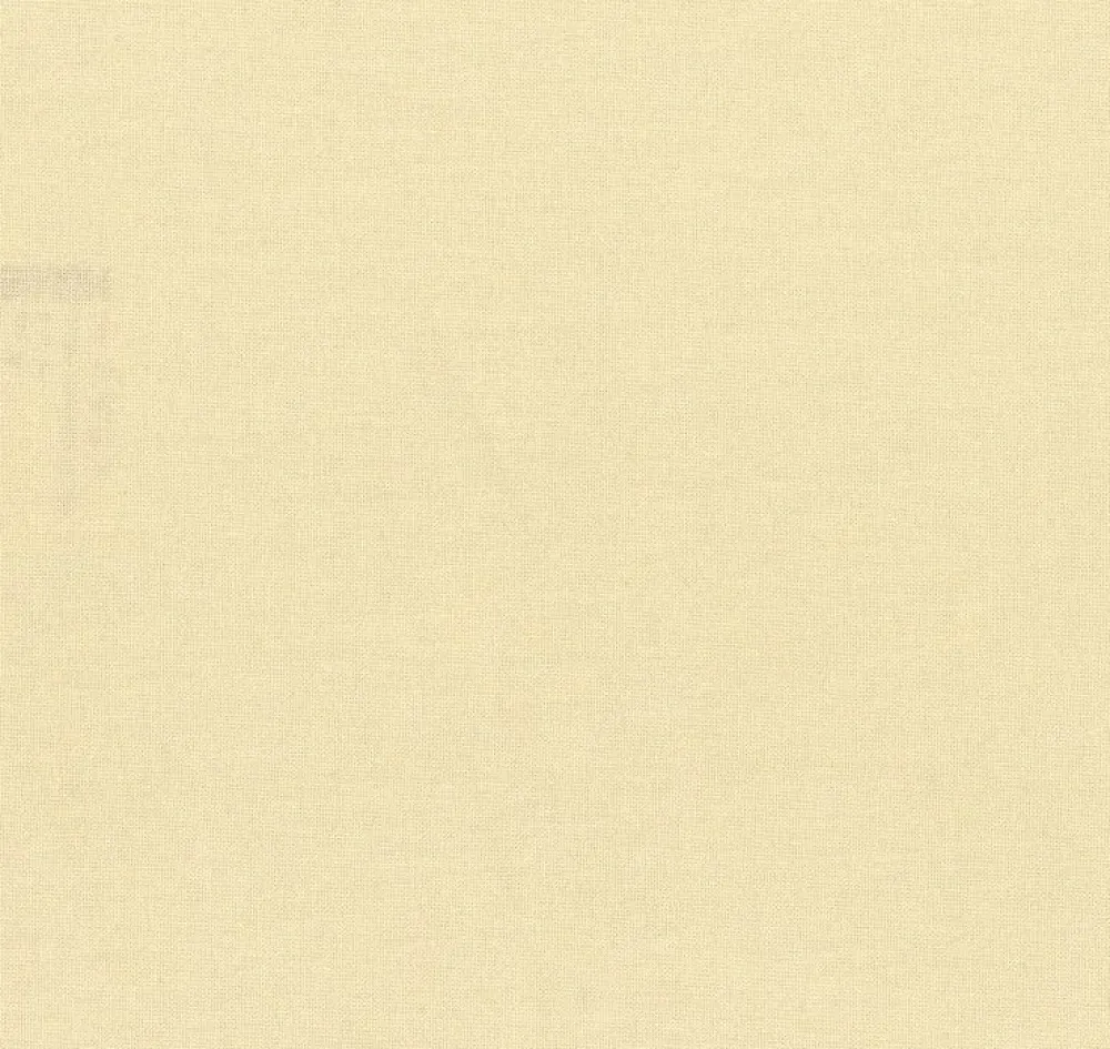 Best Divano letto Cucciolo 2* PREZZI OUTLET Divani Letto|Divani