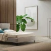 Le Comfort Letto imbottito modello Klizia di scontato 40%- Letti