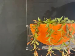 Libreria Fioriera sospesa stile design di scontata del 50% Librerie