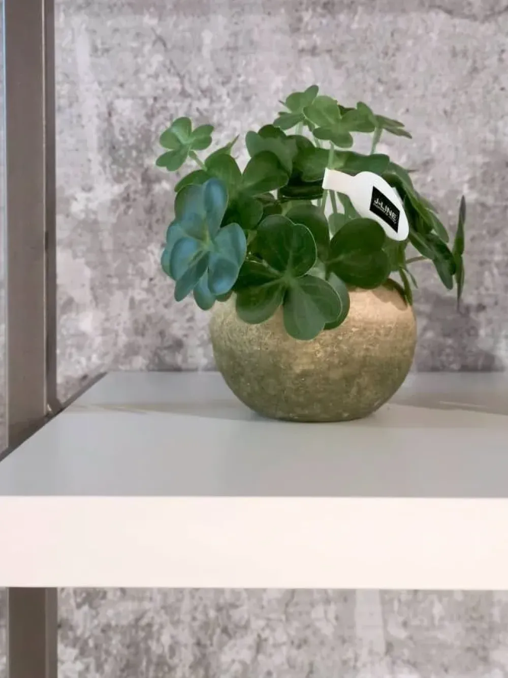 Tomasella Libreria modello Movida di in Offerta Outlet- Librerie