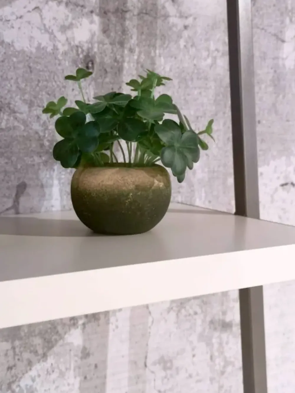 Tomasella Libreria modello Movida di in Offerta Outlet- Librerie