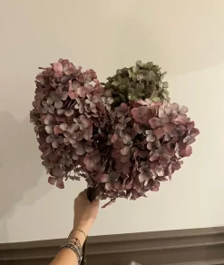 Oggettistica design a prezzi convenienti^Artigianale Clearance