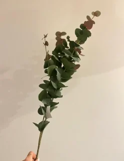 Oggettistica design Eucalipto rami pianta finta di scontata del 27%^Artigianale