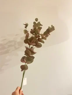 Oggettistica design Eucalipto rami pianta finta di scontata del 27%^Artigianale