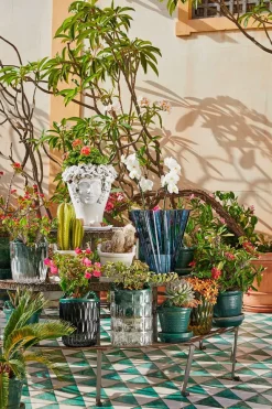 Oggettistica Shanghai con uno SCONTO IMPERDIBILE Oggettistica