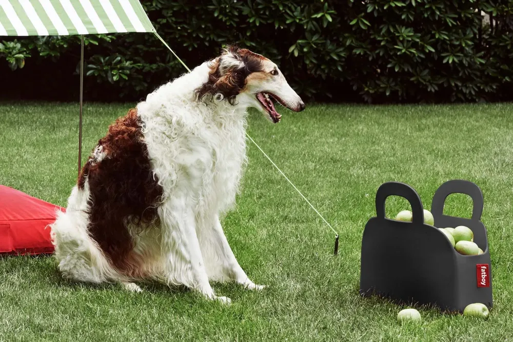 Fatboy Oggettistica sjopper-kees con uno SCONTO IMPERDIBILE approfittane ora!- Oggettistica