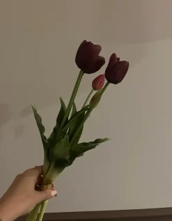 Discount Oggettistica Tulipani fiori finti  di in offerta Oggettistica