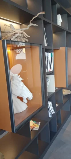 Parete attrezzata 505 up della marca con un ribasso esclusivo^Molteni & C Sale