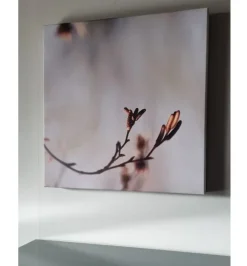 New Quadro Quadro canvas   ad un prezzo vantaggioso Quadri Moderni