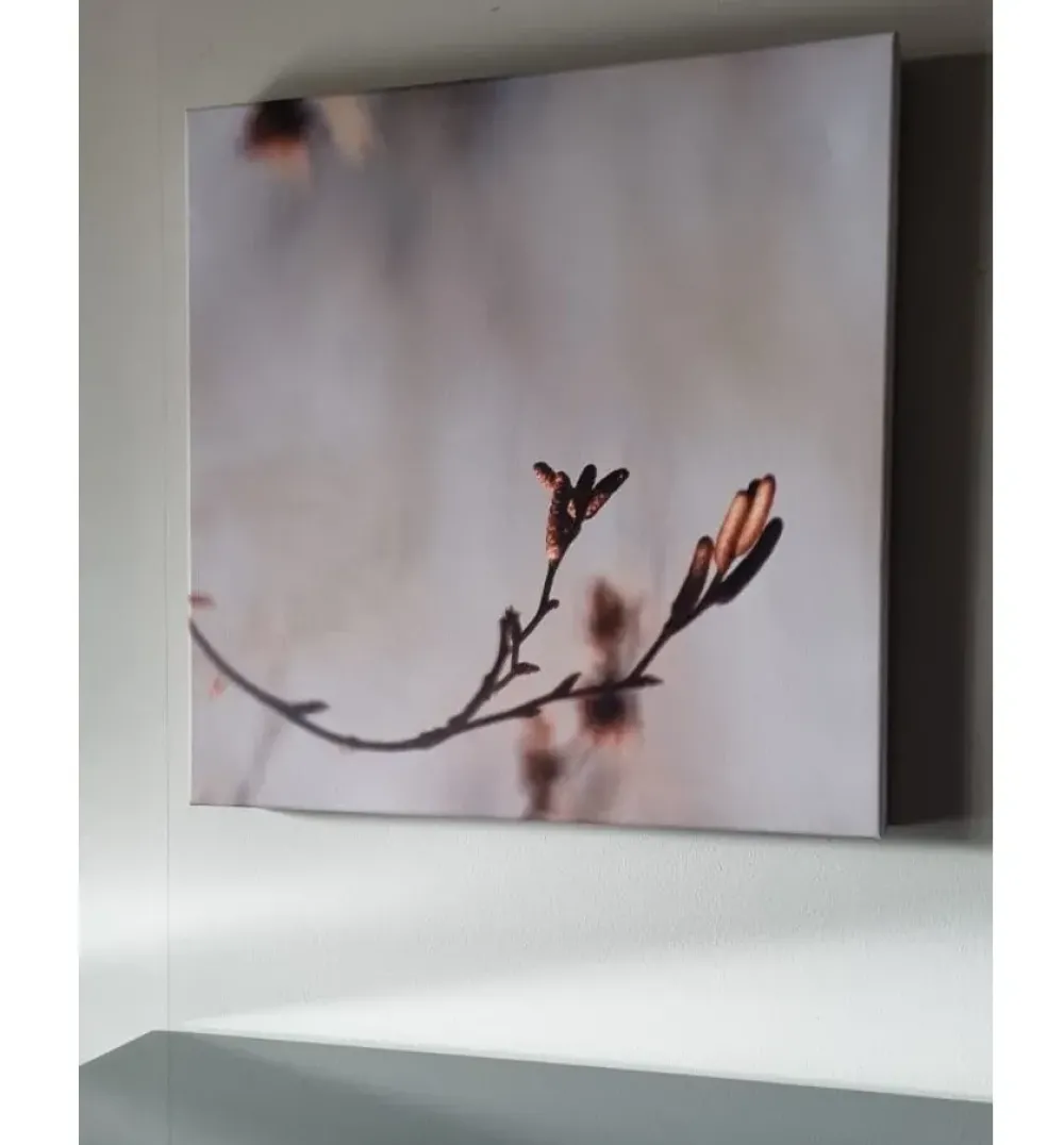 New Quadro Quadro canvas ad un prezzo vantaggioso Quadri Moderni