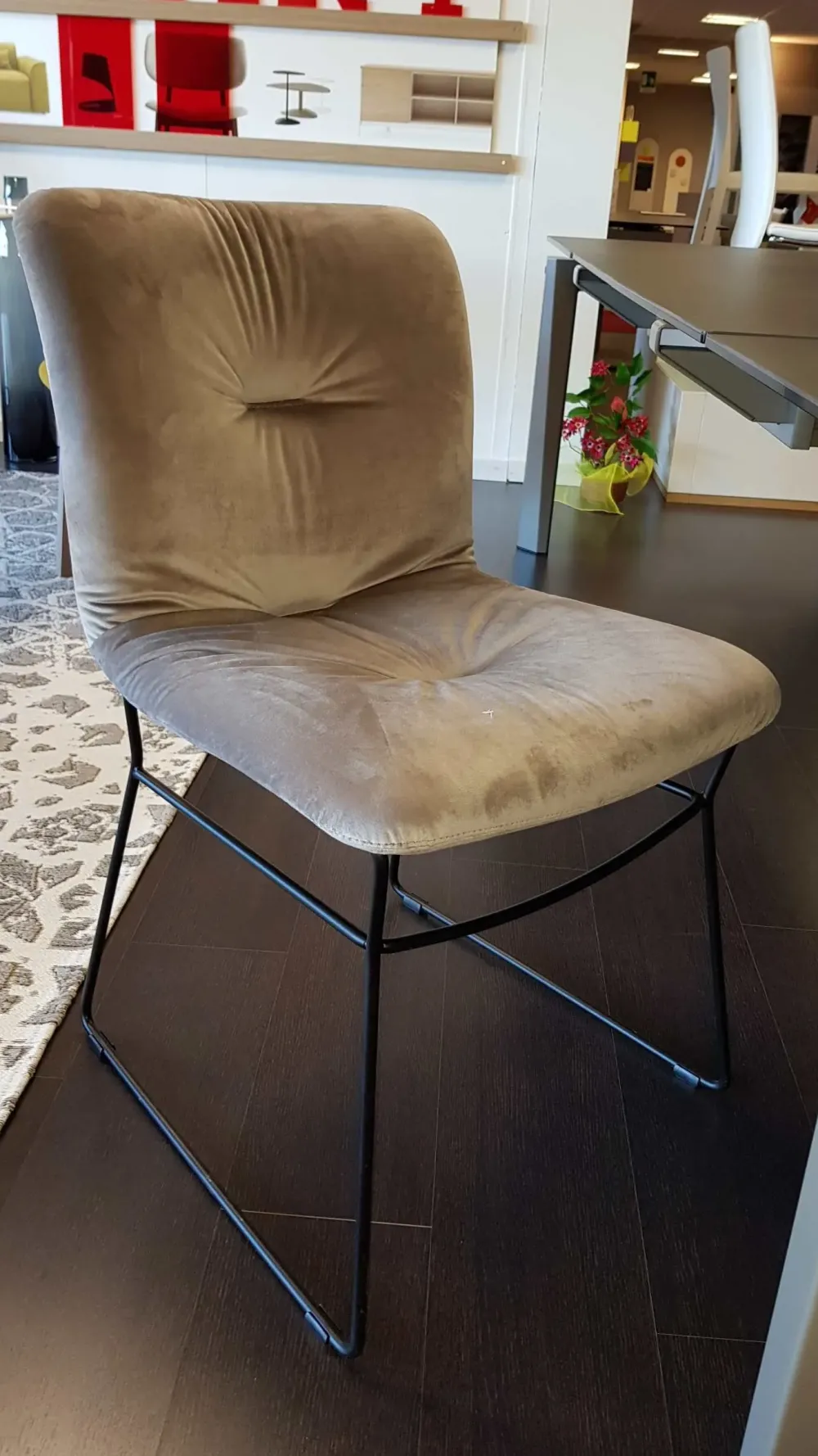 Calligaris Sedia Annie soft con uno sconto vantaggioso- Sedie