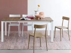 Clearance Sedia Argo a prezzo scontato 0% Sedie