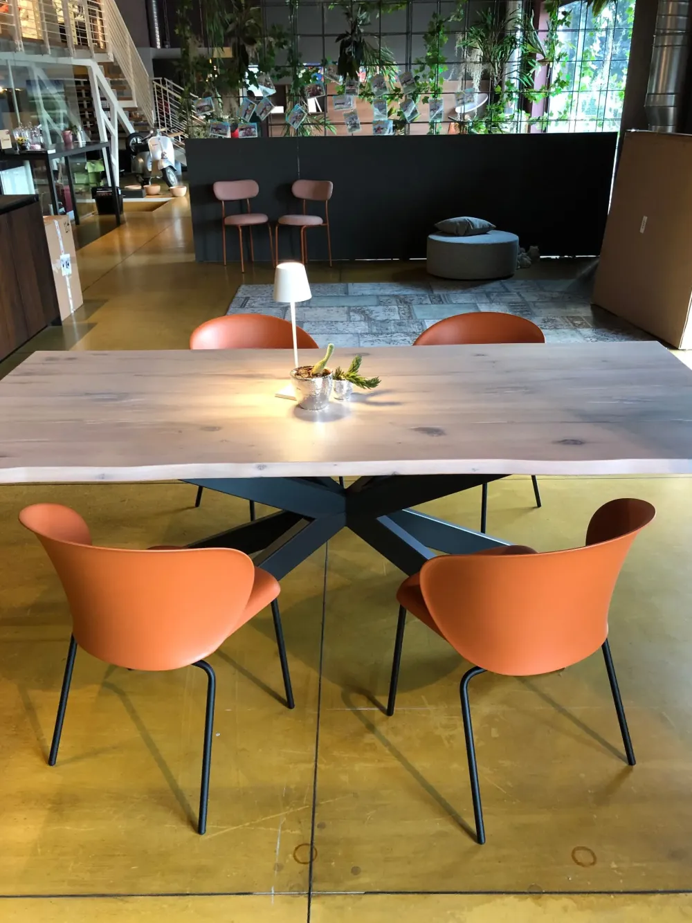 Connubia SEDIA Tuka PREZZI OUTLET- Sedie