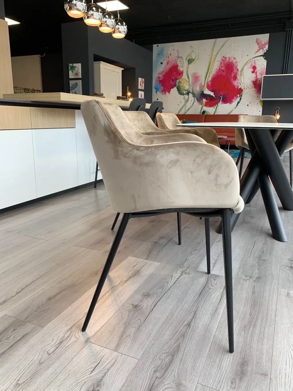 Zamagna Sedia fissa N° 4 sedie pozzetto duke di di in Offerta Outlet- Sedie