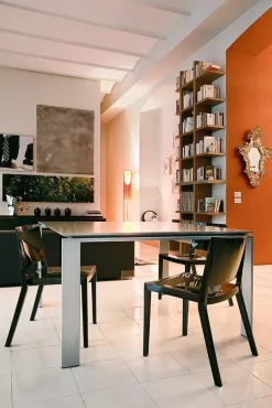 Kartell Sedia Lizz a prezzo ribassato- Sedie