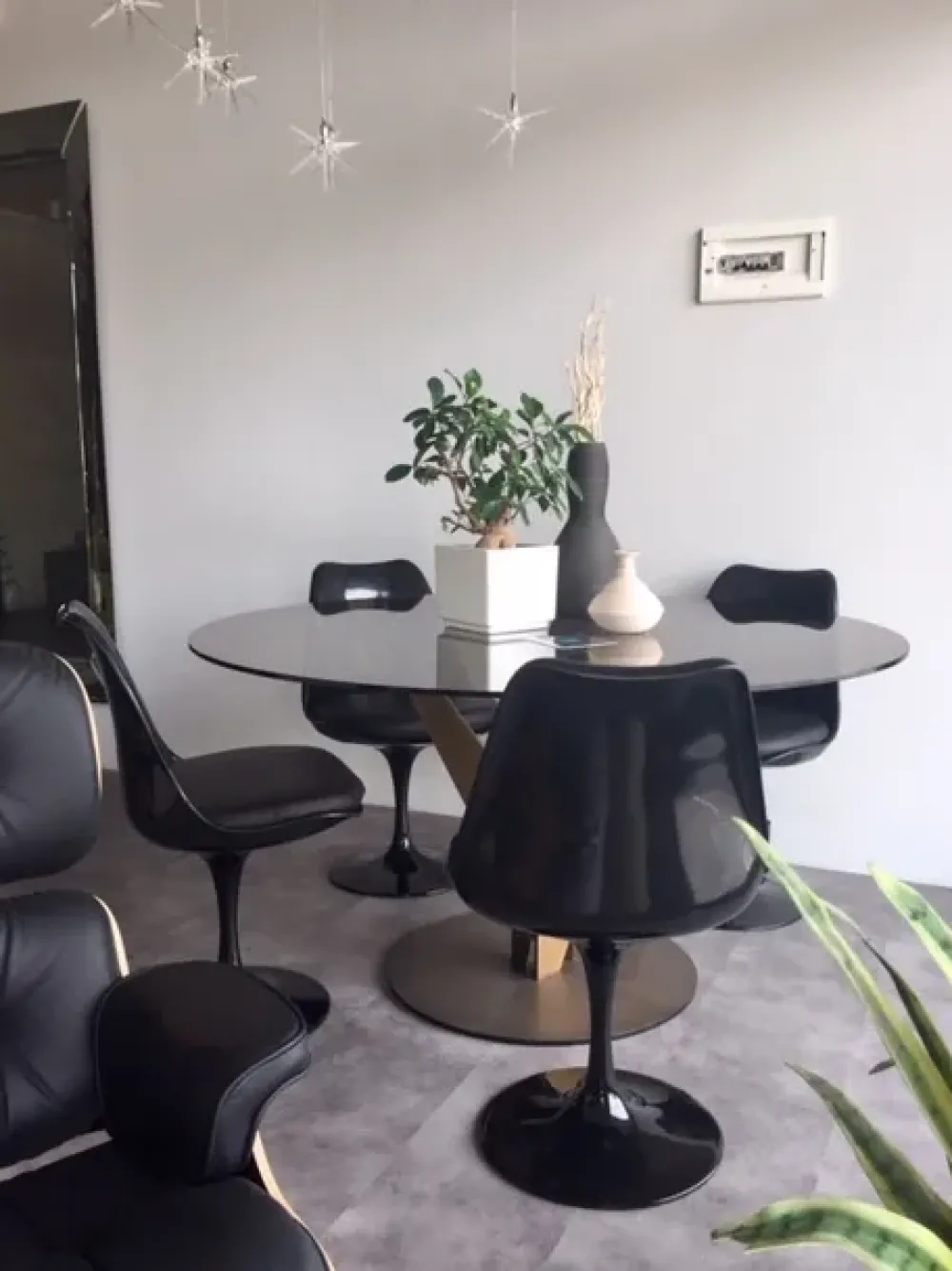 Online Sedia senza braccioli Art.6129 tulip a prezzo ribassato Sedie