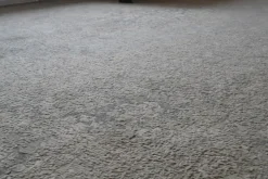 Discount Tappeto Classico modello Chennai a prezzi outlet Tappeti