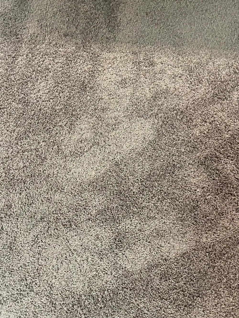 New TAPPETO Tappeto SCONTATO a PREZZO OUTLET Tappeti