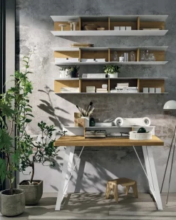 : Libreria Raster a prezzo vantaggioso!^Tomasella